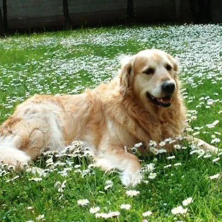 Derby 3* Bellaria-Igea Marina