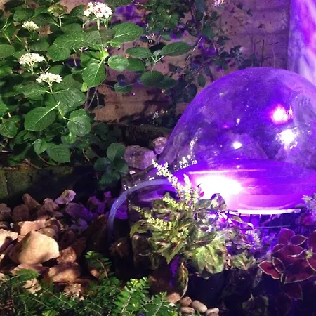 Derby Hotel Bellaria-Igea Marina