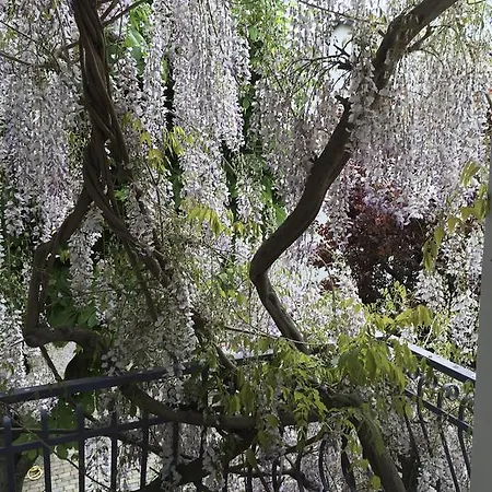 Hotel Derby Bellaria-Igea Marina