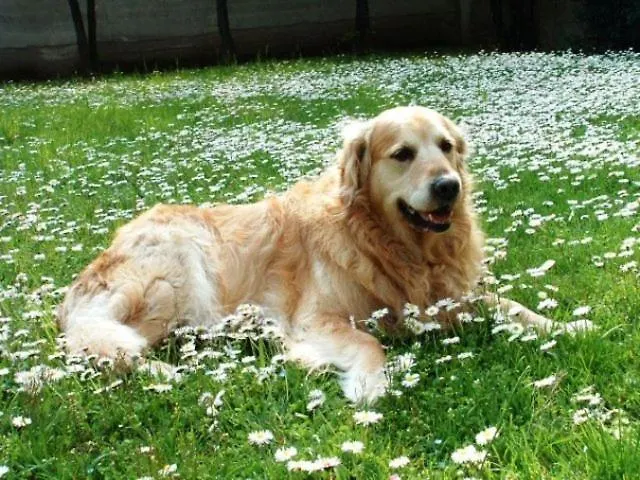 Derby 3* Bellaria-Igea Marina