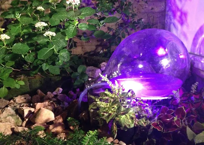 Derby Hotel Bellaria-Igea Marina