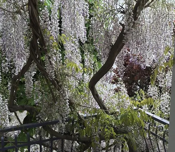 Hotel Derby Bellaria-Igea Marina